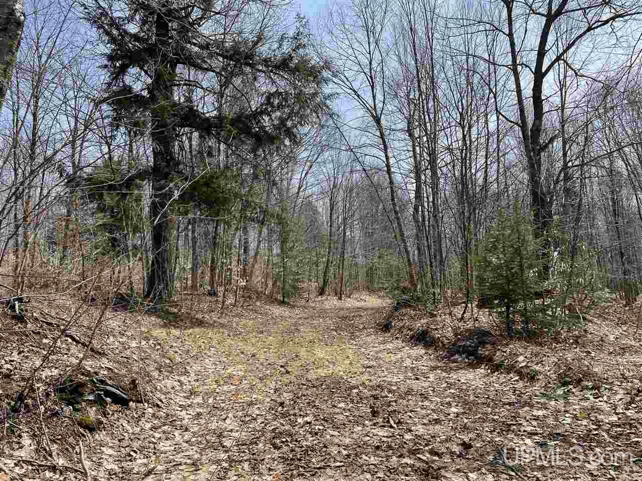 0000 Near Old Seney Road Property Photo 30