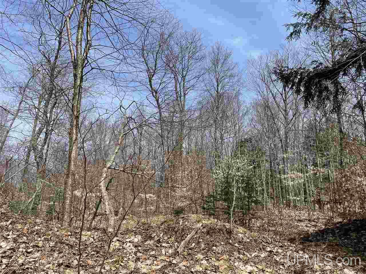0000 Near Old Seney Road Property Photo 31
