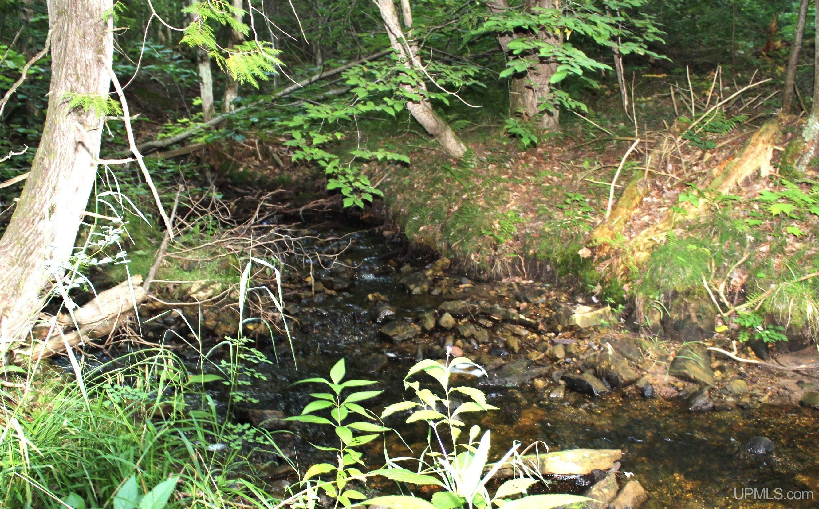 On E Shingleton Road Property Photo 5