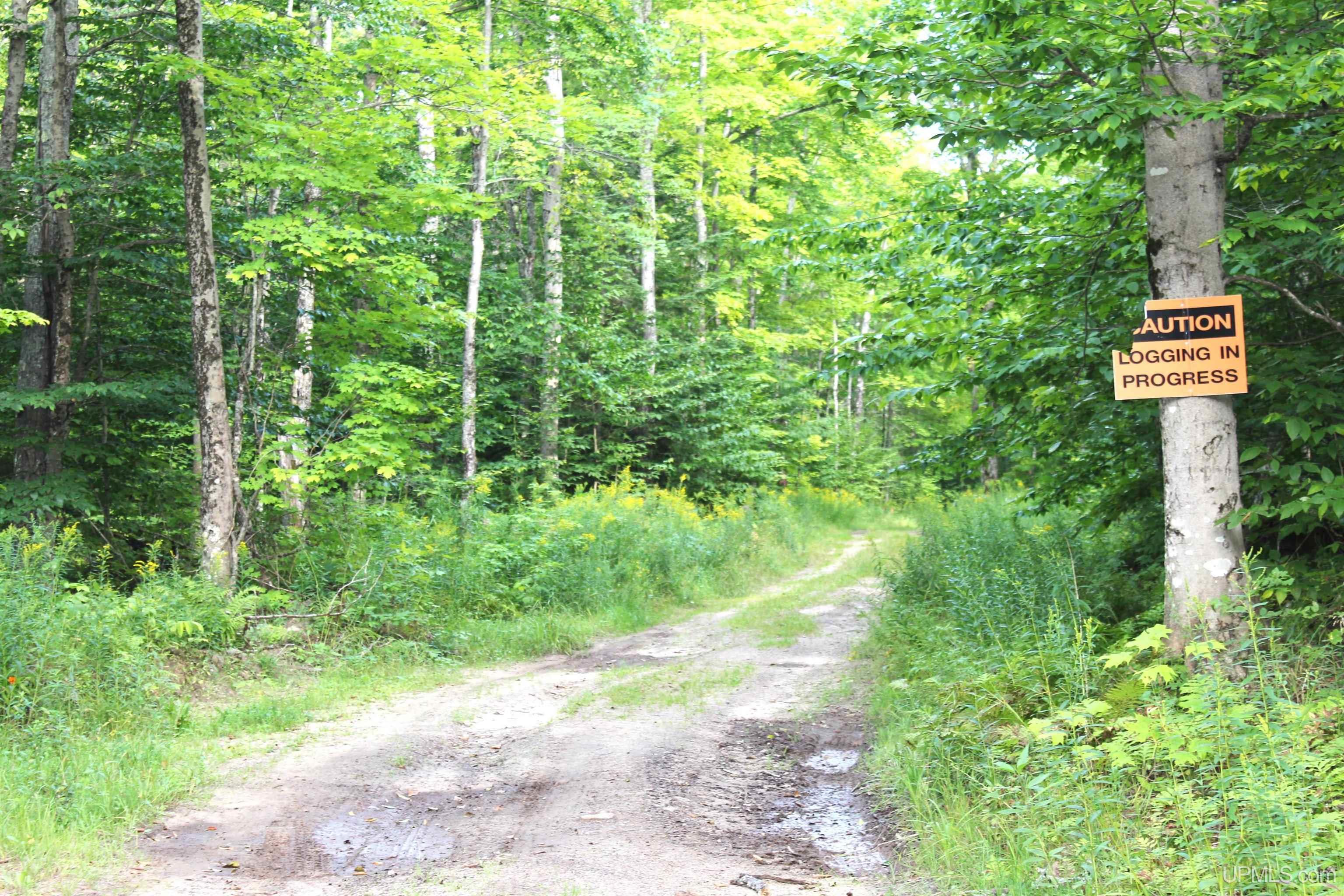 On E Shingleton Road Property Photo 10