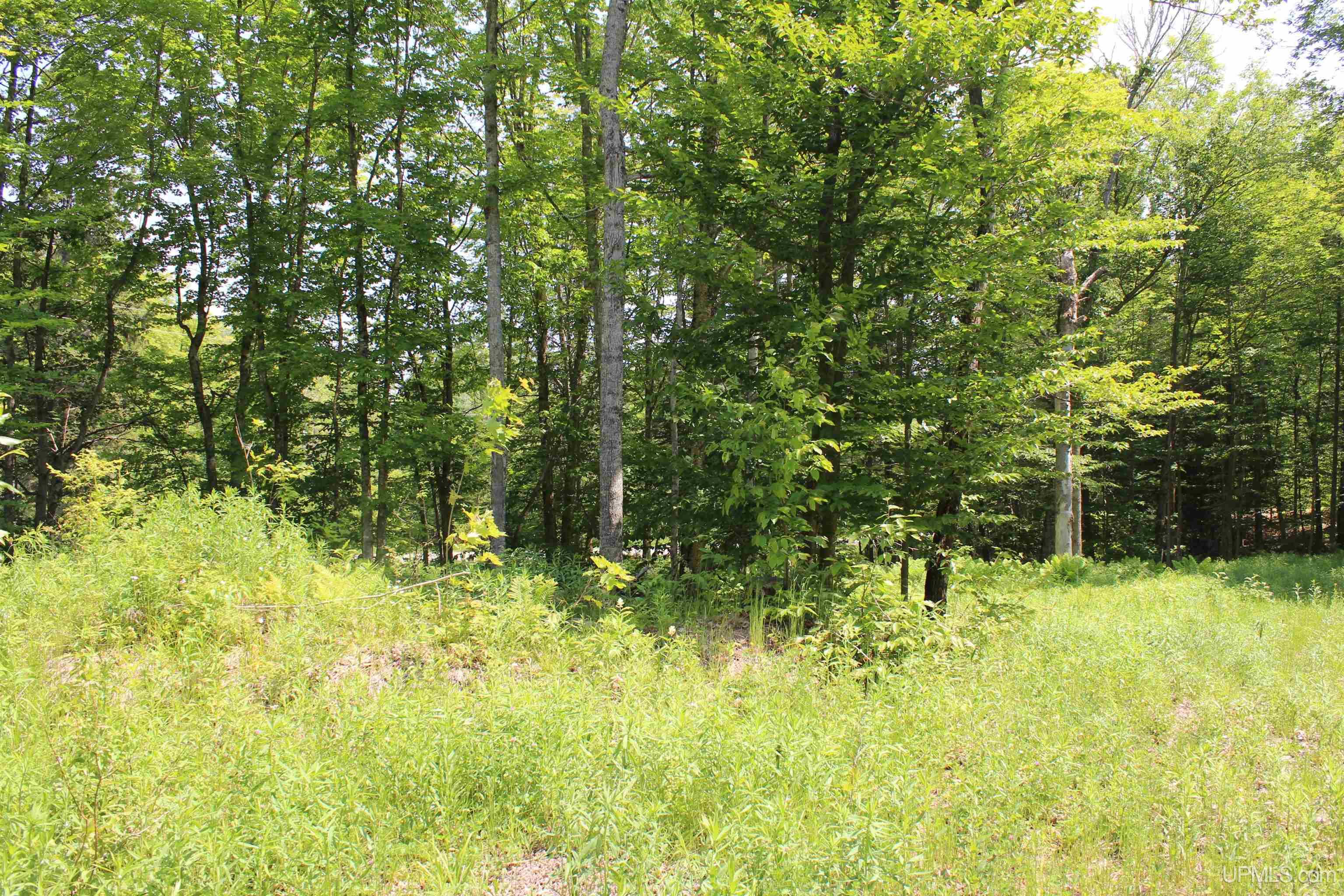 On E Shingleton Road Property Photo 11