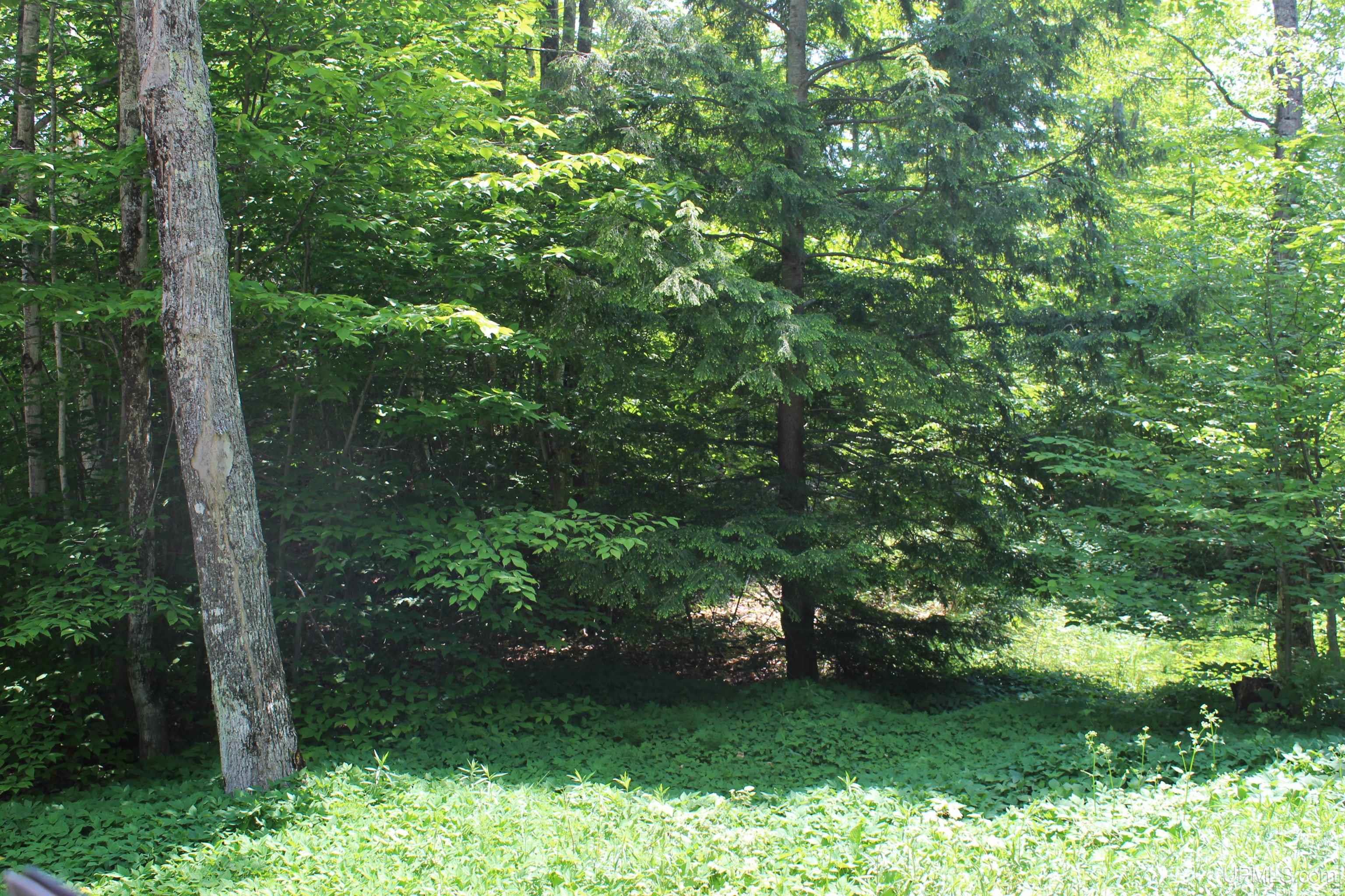 On E Shingleton Road Property Photo 12