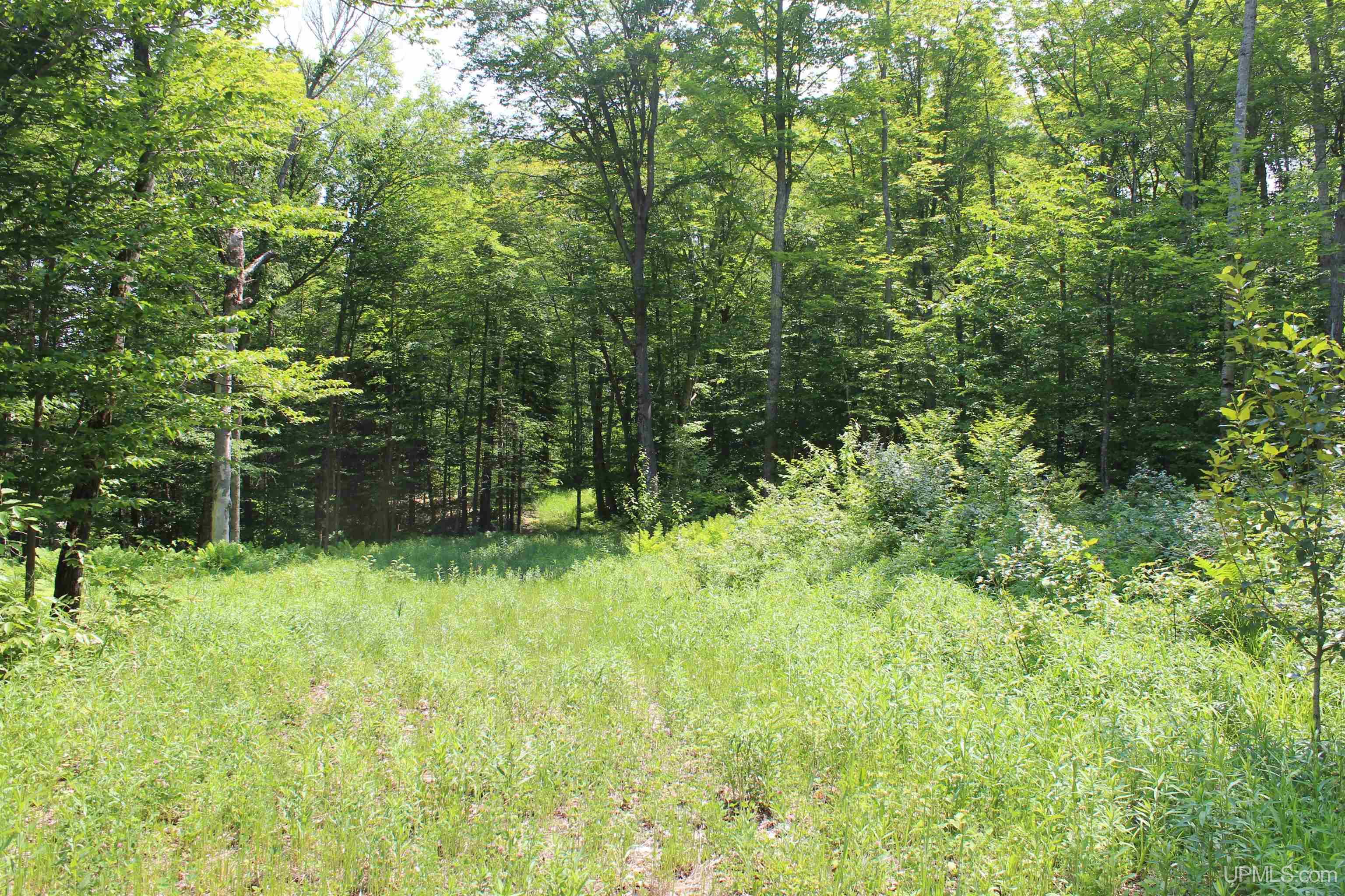 On E Shingleton Road Property Photo 13