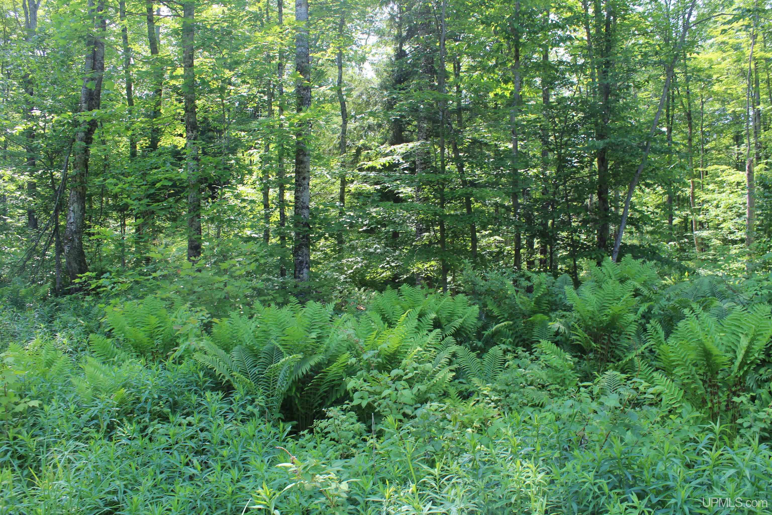 On E Shingleton Road Property Photo 14