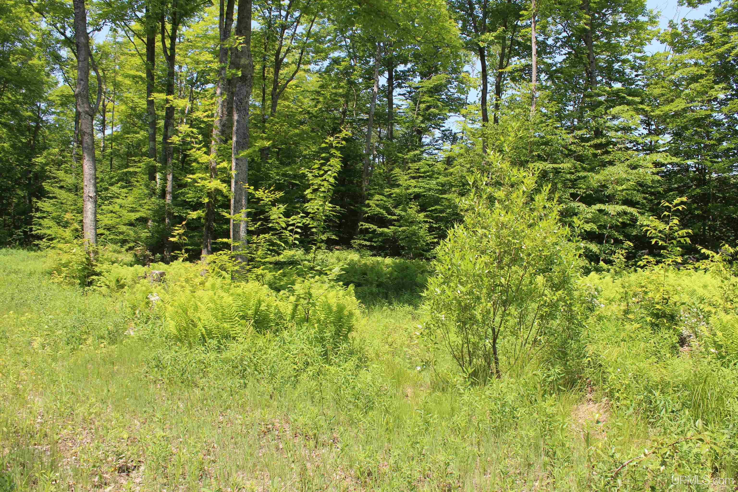 On E Shingleton Road Property Photo 15