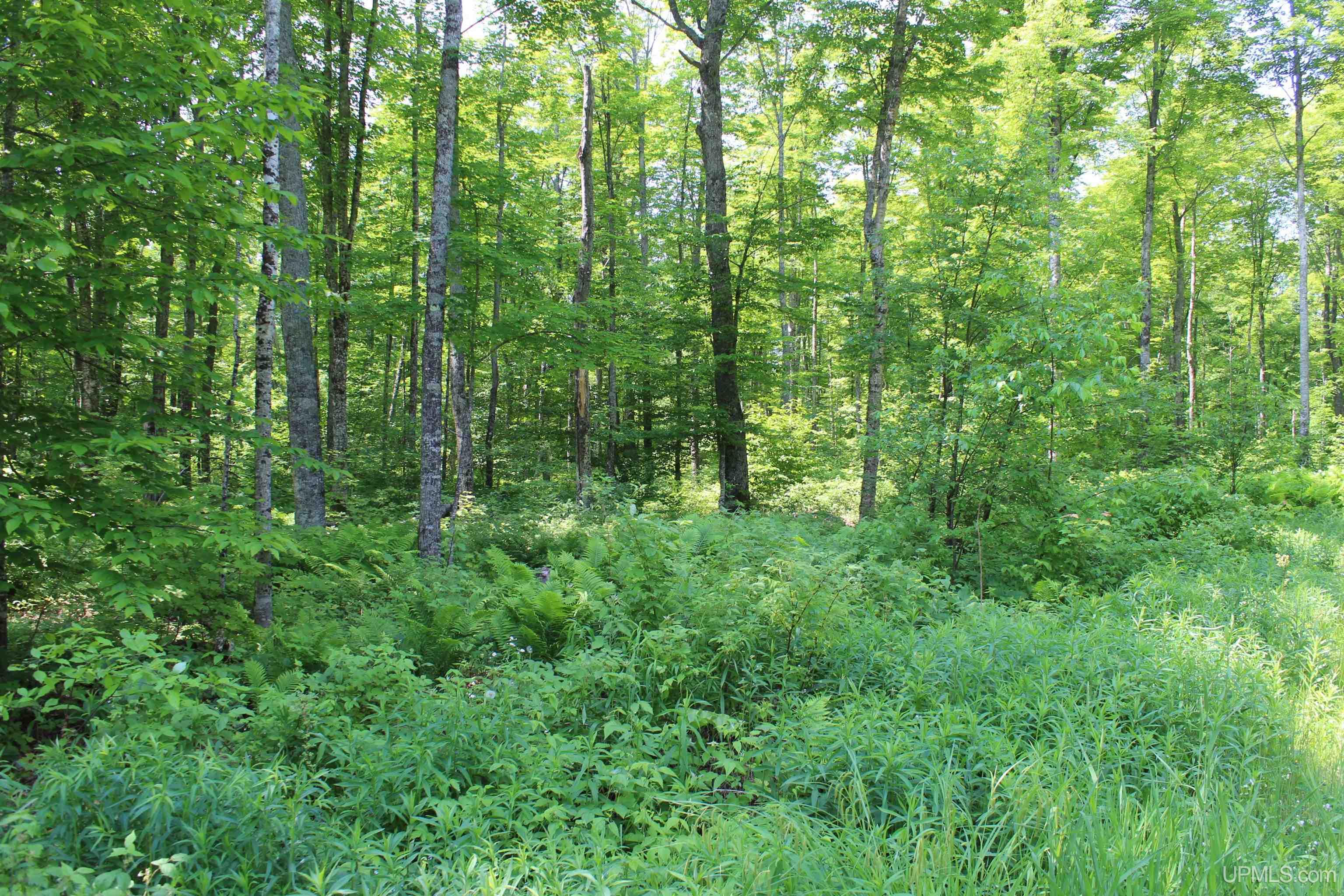 On E Shingleton Road Property Photo 16
