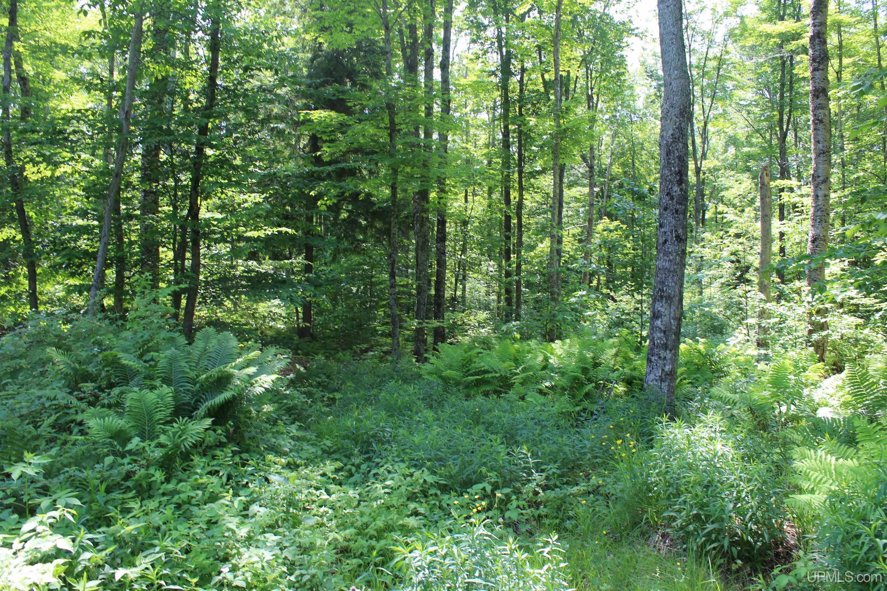 On E Shingleton Road Property Photo 17