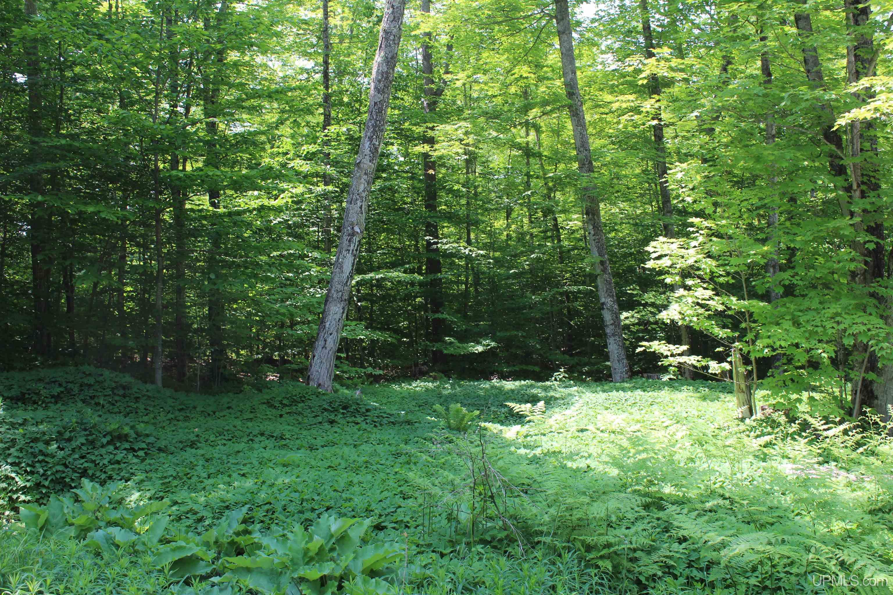 On E Shingleton Road Property Photo 18