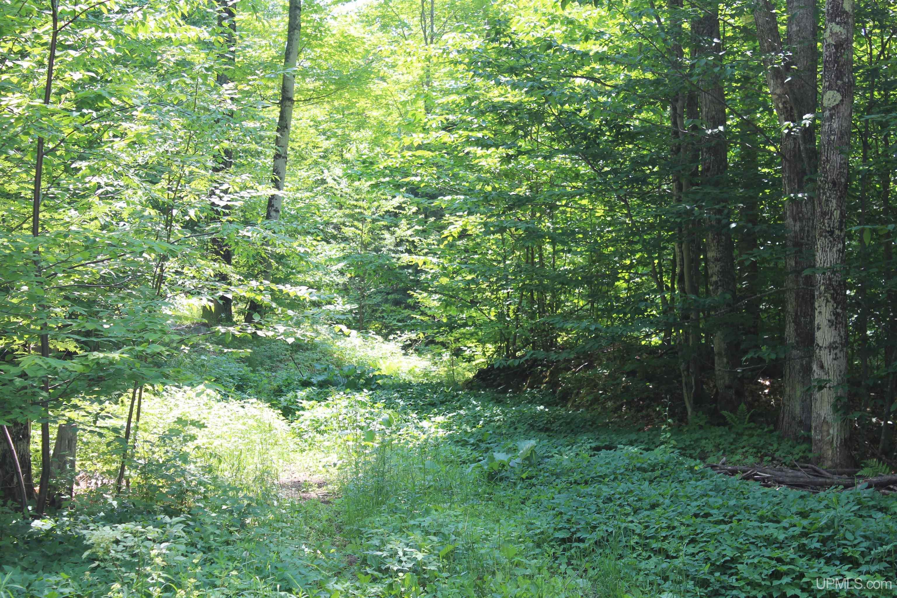 On E Shingleton Road Property Photo 19