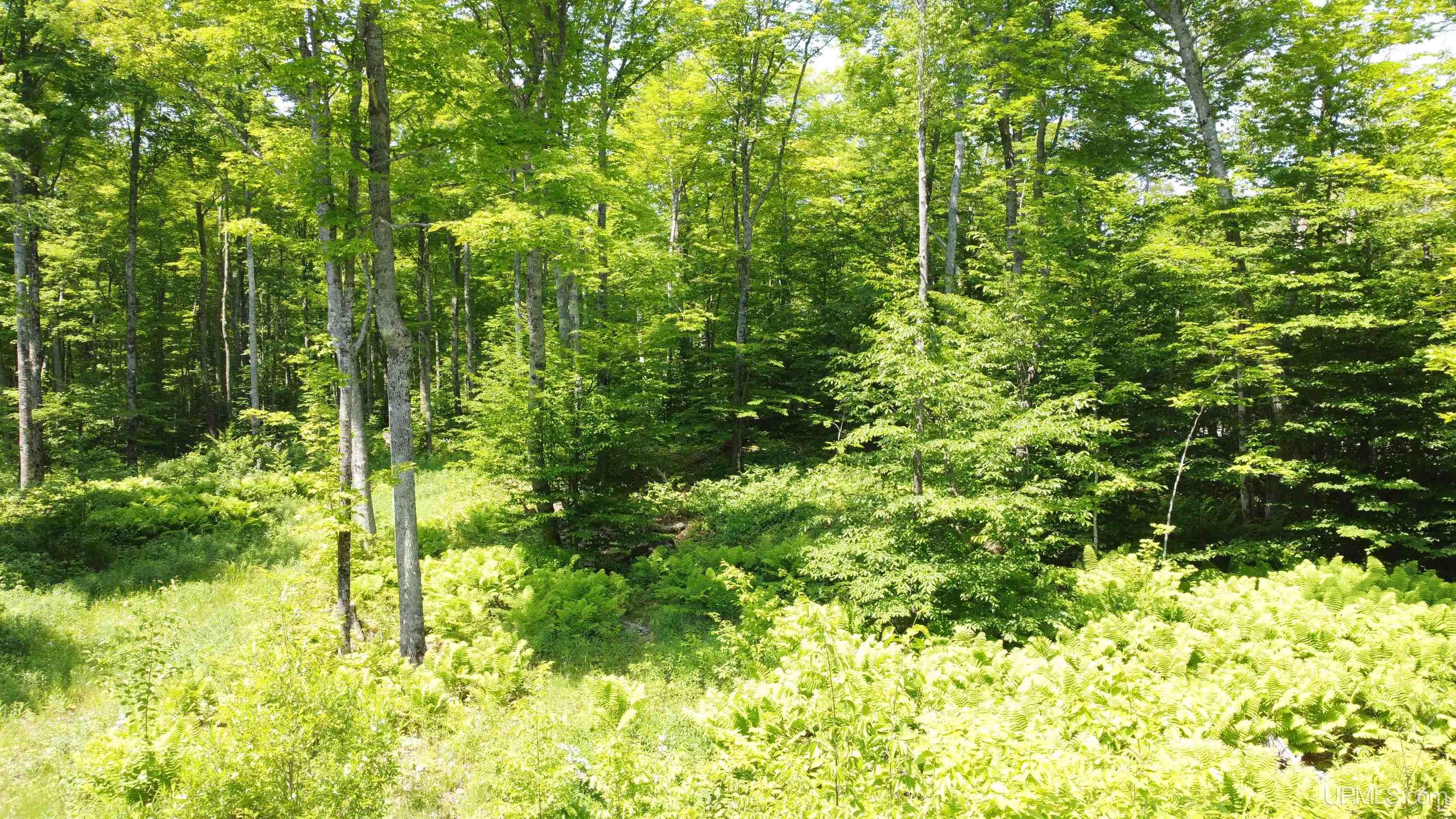 On E Shingleton Road Property Photo 20