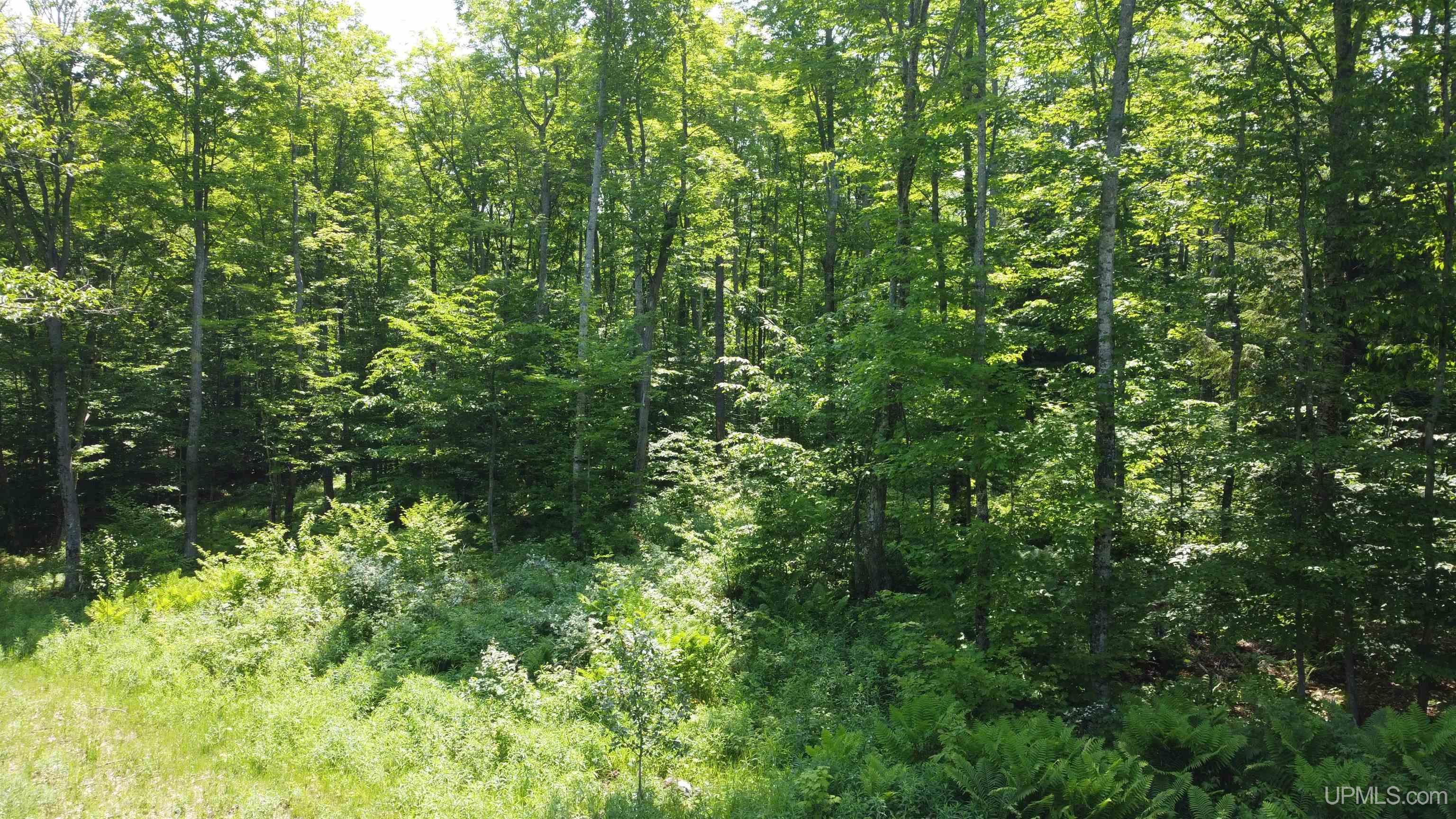 On E Shingleton Road Property Photo 22