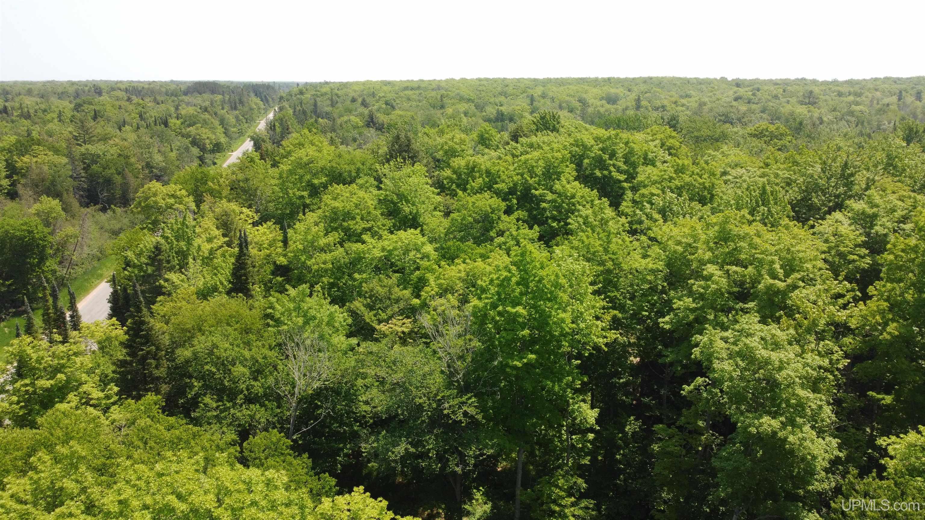 On E Shingleton Road Property Photo 23