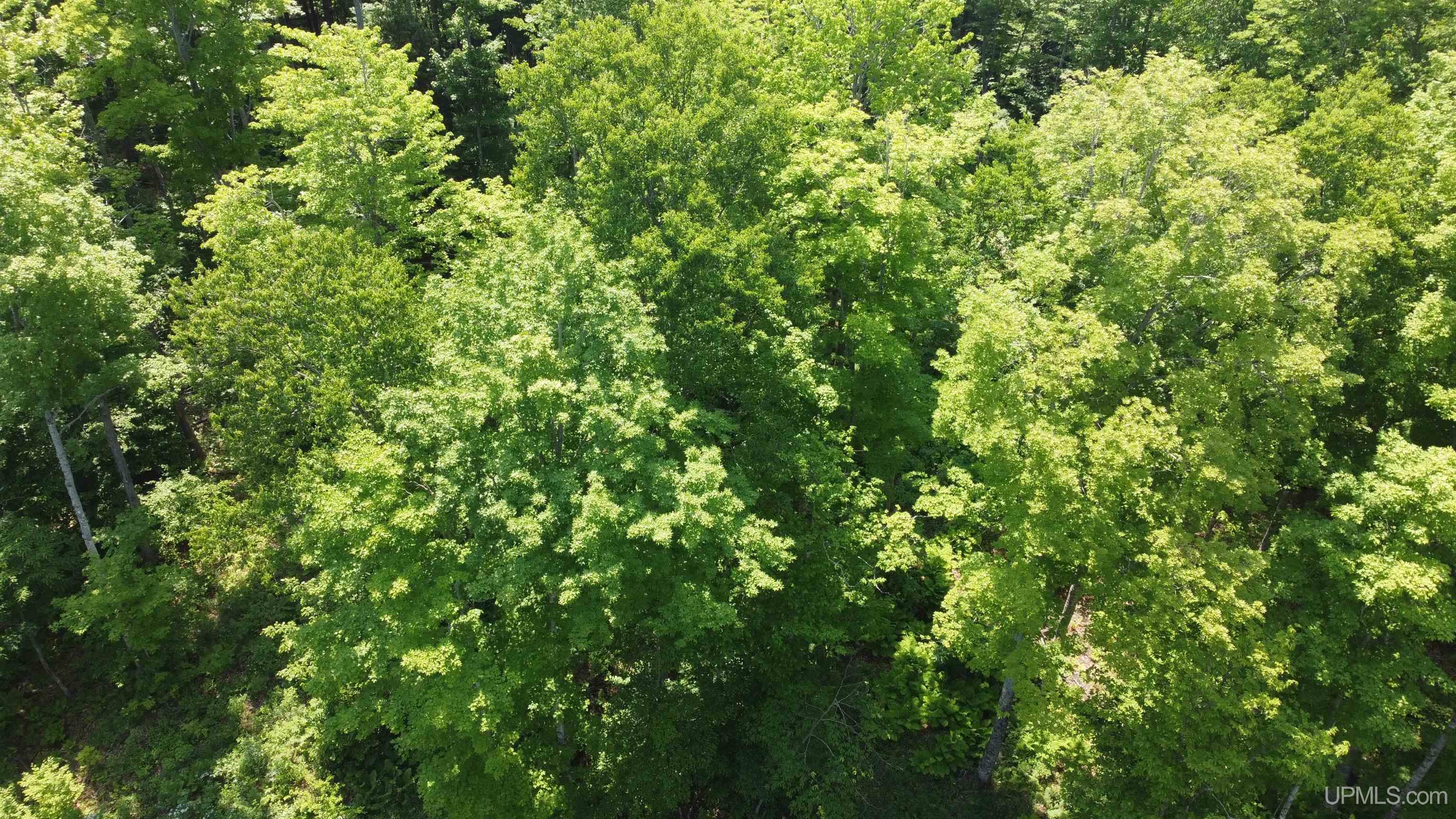 On E Shingleton Road Property Photo 24
