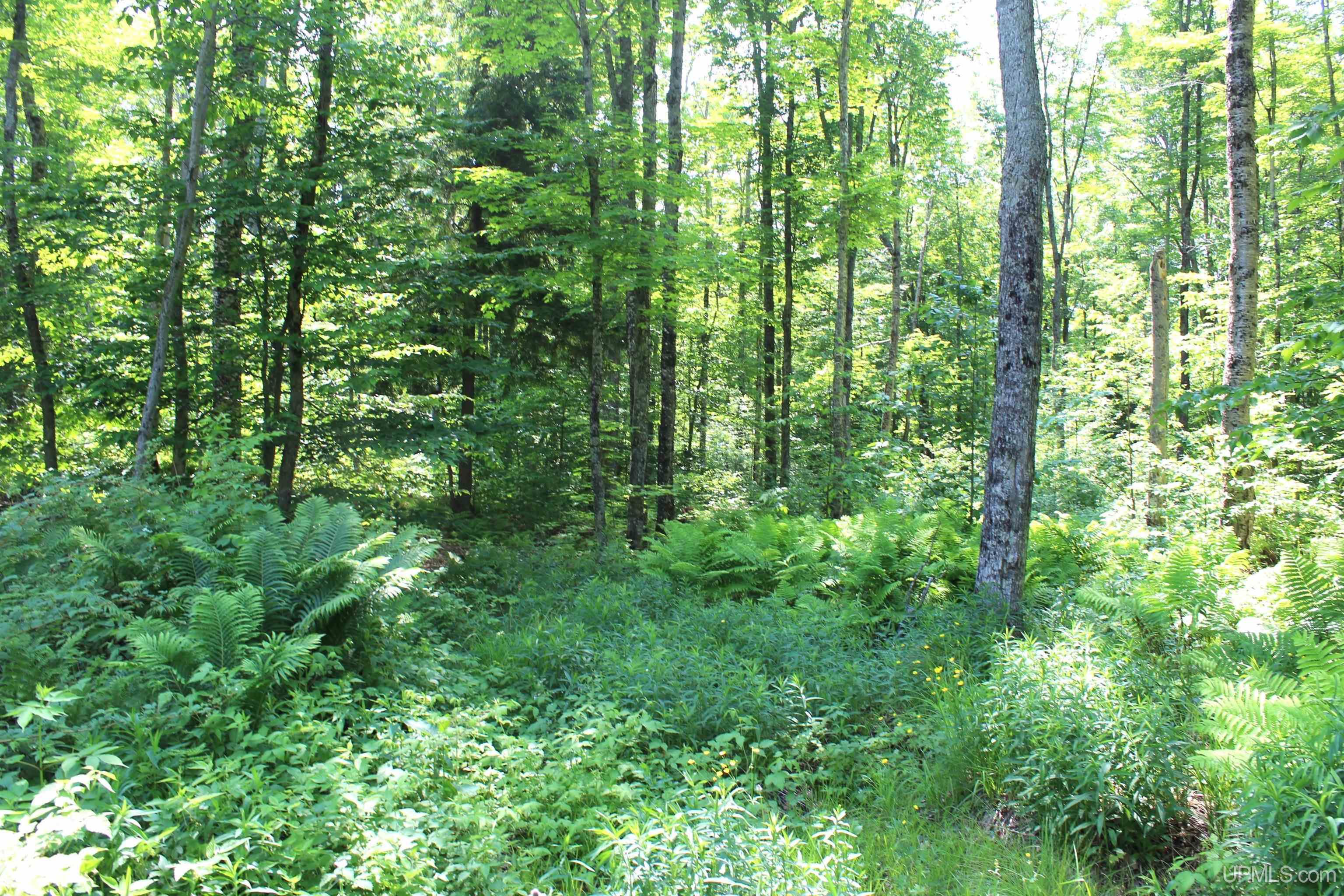 On E Shingleton Road Property Photo 28