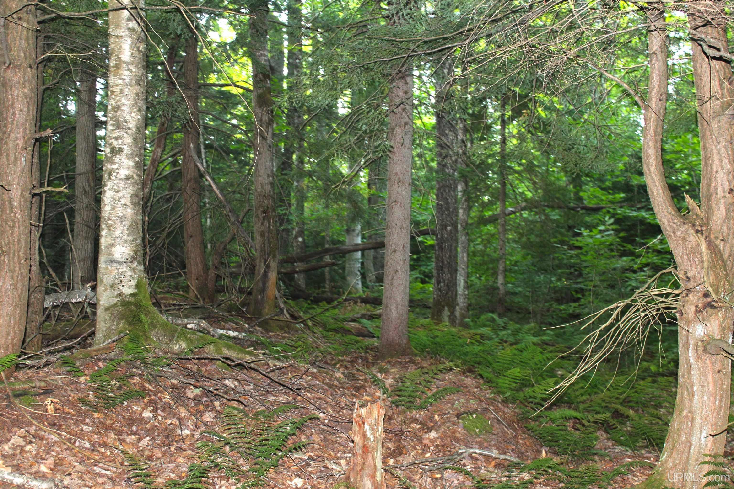 On E Shingleton Road Property Photo 30