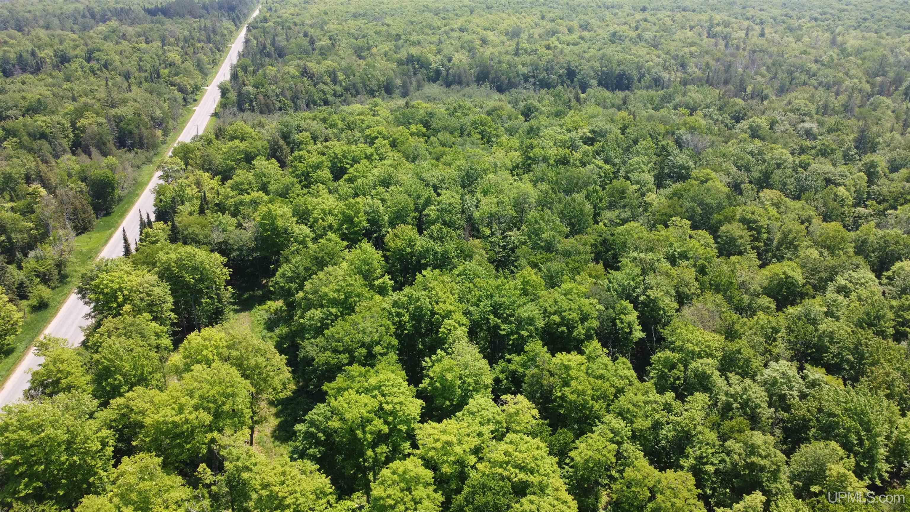 On E Shingleton Road Property Photo 31