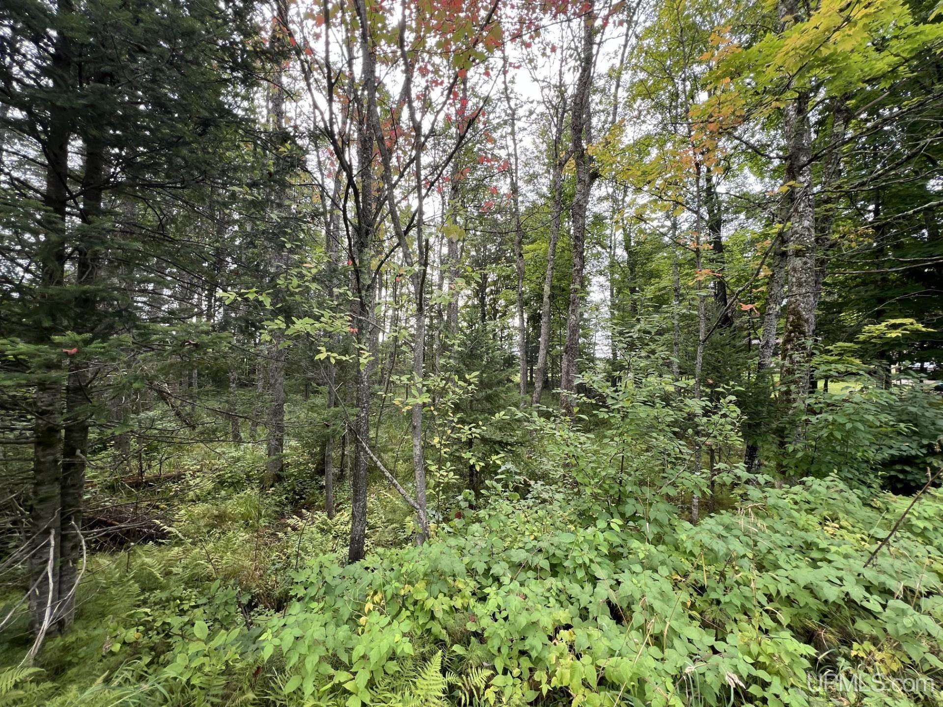 Tbd W Brule Lake Road Property Photo 1