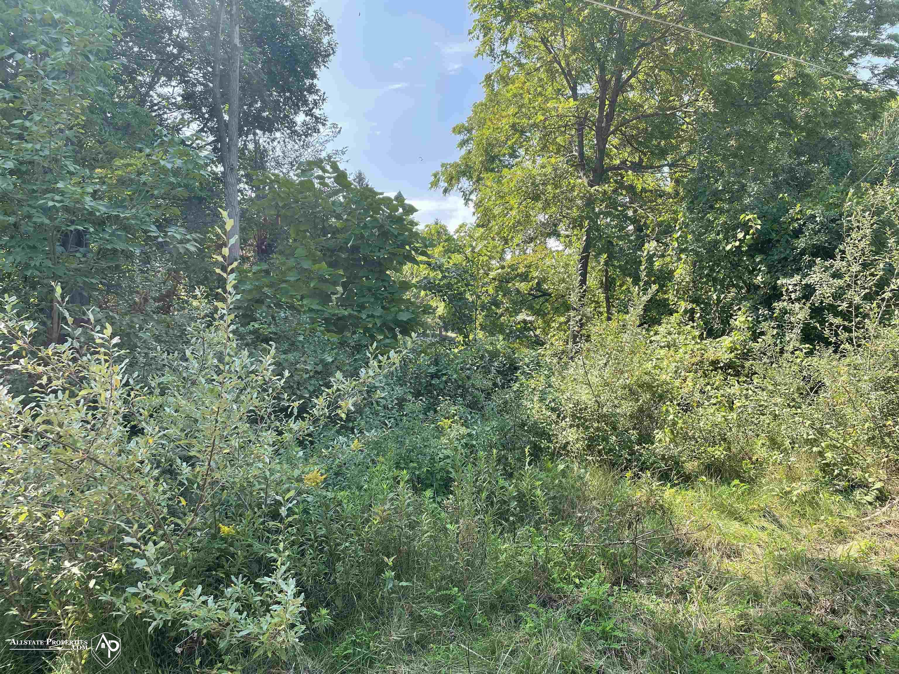 9353 Ruby Street Property Photo 4