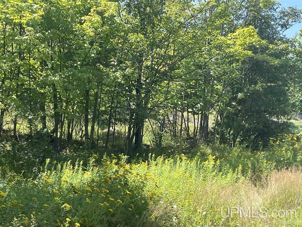 301 Garfield Avenue Property Photo 1
