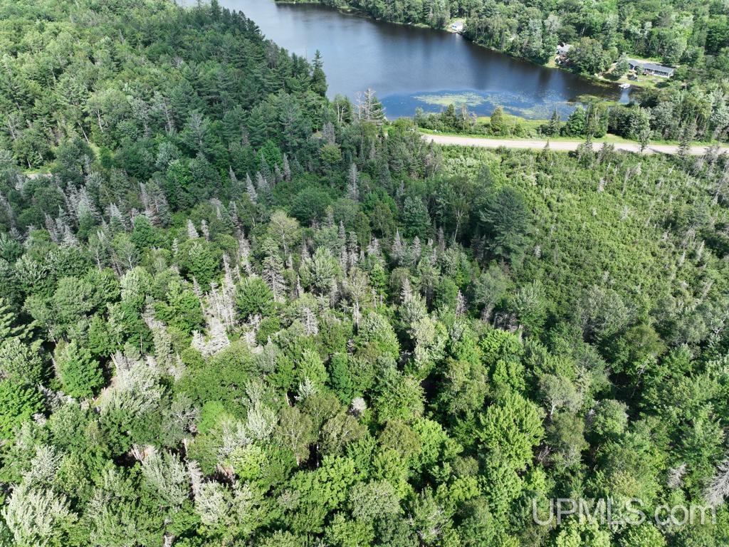 00 Gold Mine Lake Road Property Photo 3