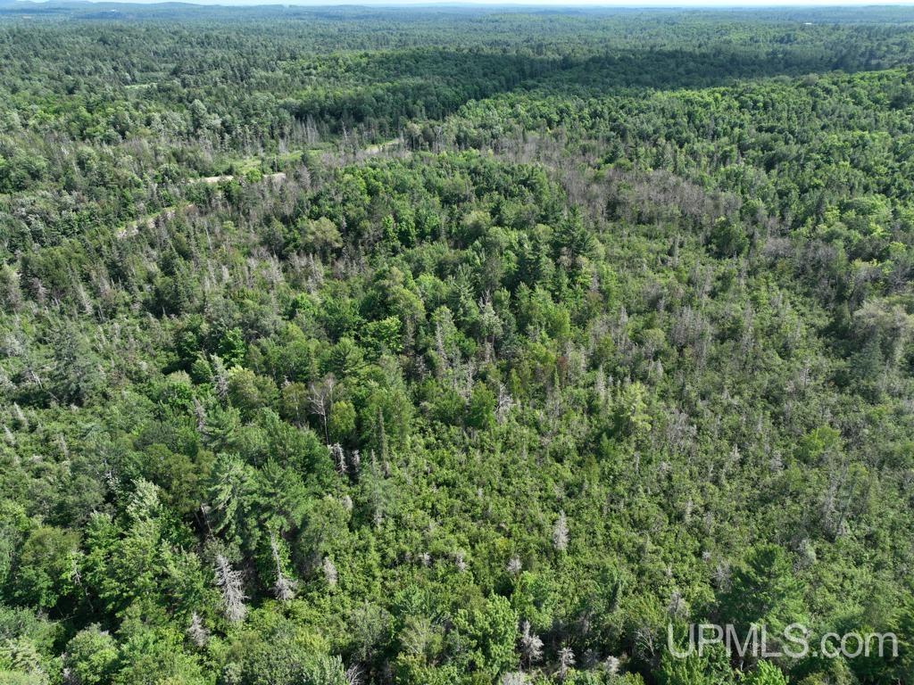 00 Gold Mine Lake Road Property Photo 4