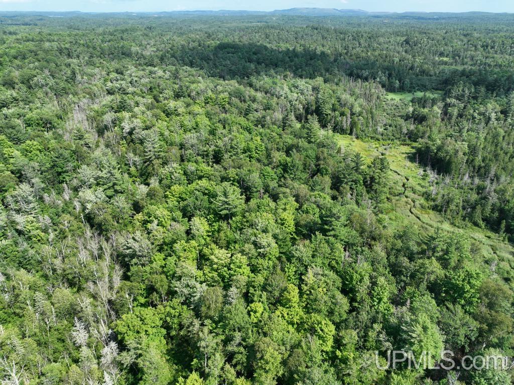 00 Gold Mine Lake Road Property Photo 5
