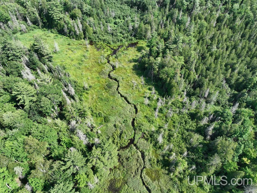 00 Gold Mine Lake Road Property Photo 6