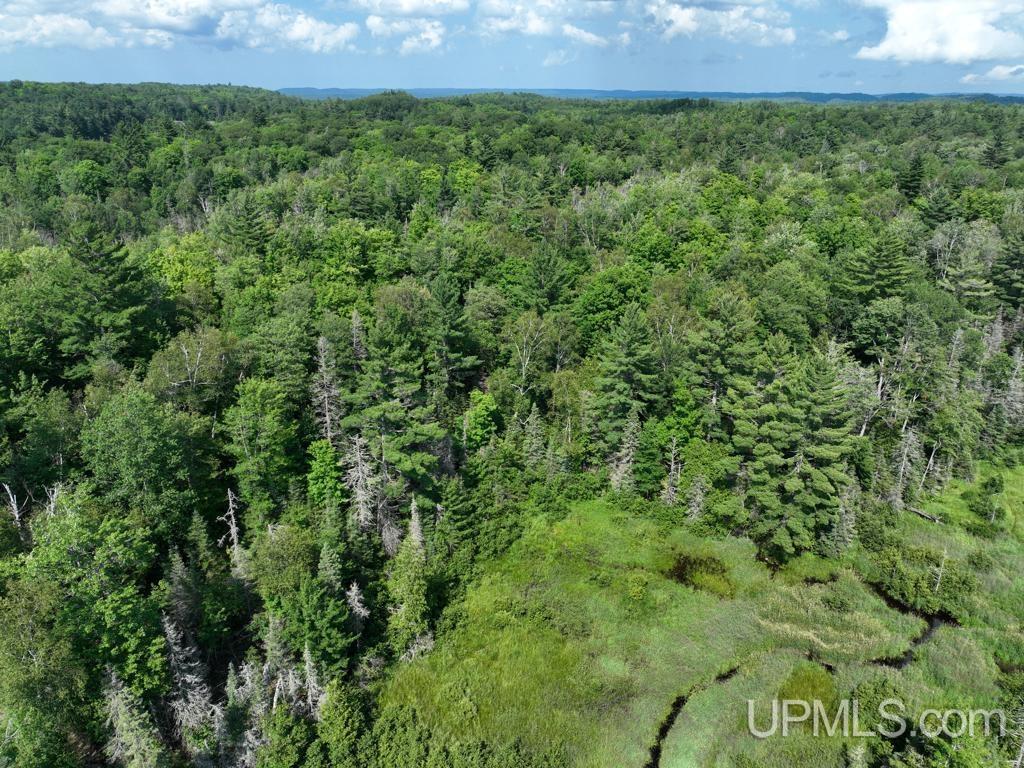 00 Gold Mine Lake Road Property Photo 7