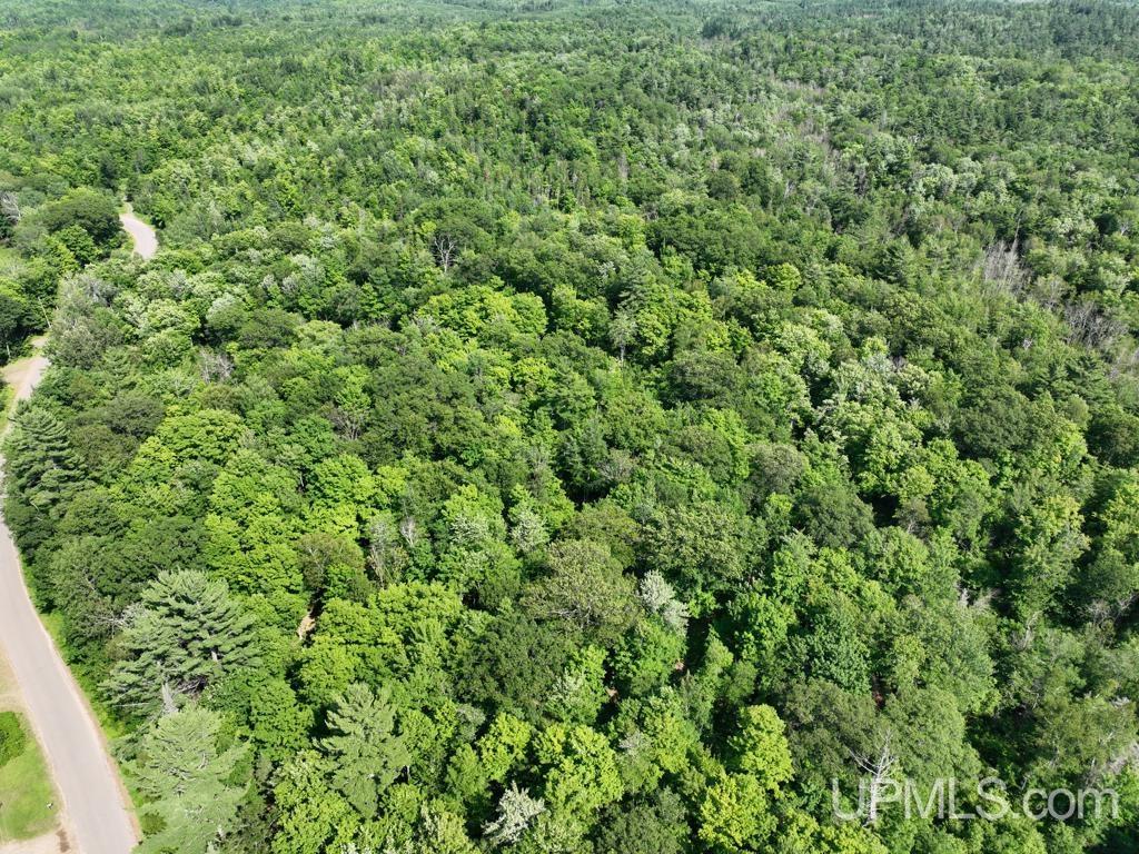 00 Gold Mine Lake Road Property Photo 9