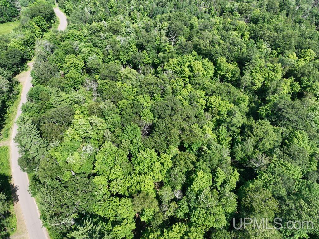 00 Gold Mine Lake Road Property Photo 10