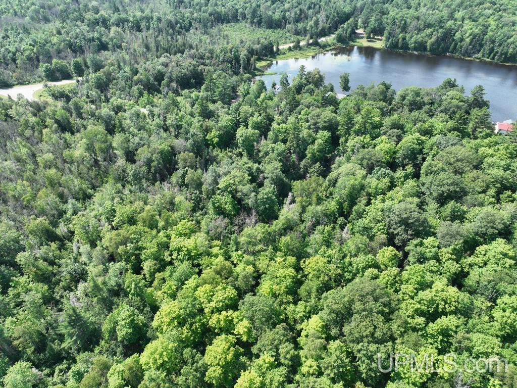 00 Gold Mine Lake Road Property Photo 11