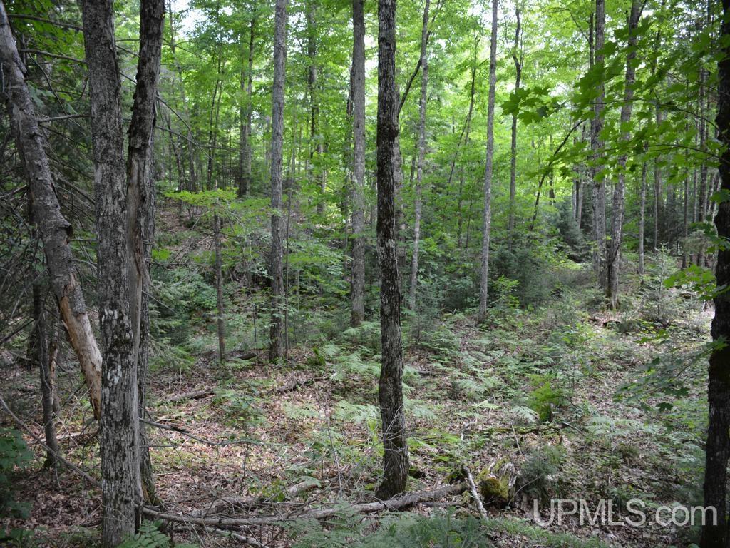 00 Gold Mine Lake Road Property Photo 13