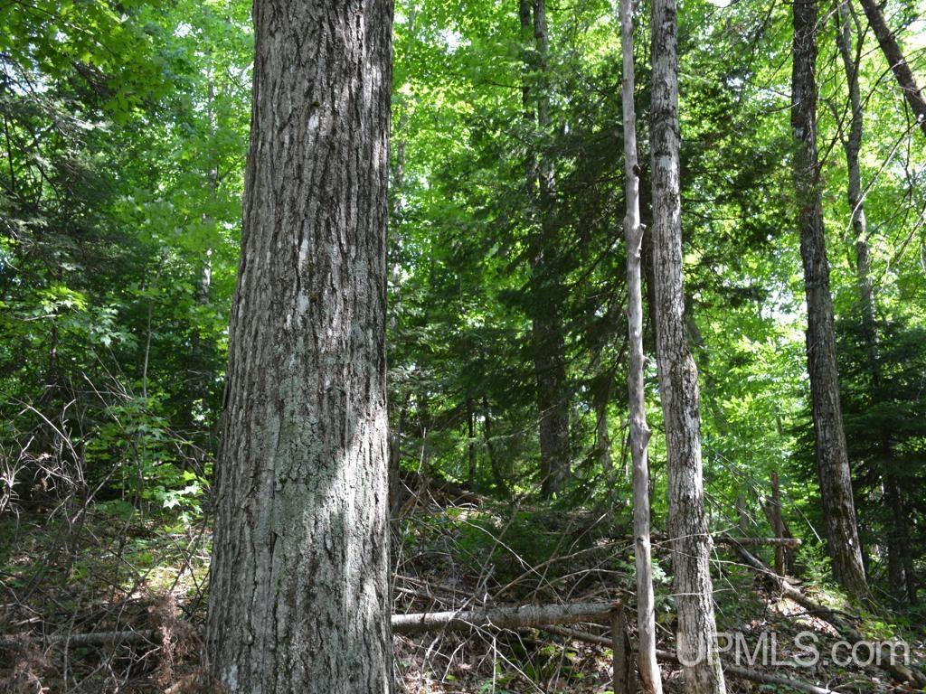 00 Gold Mine Lake Road Property Photo 14