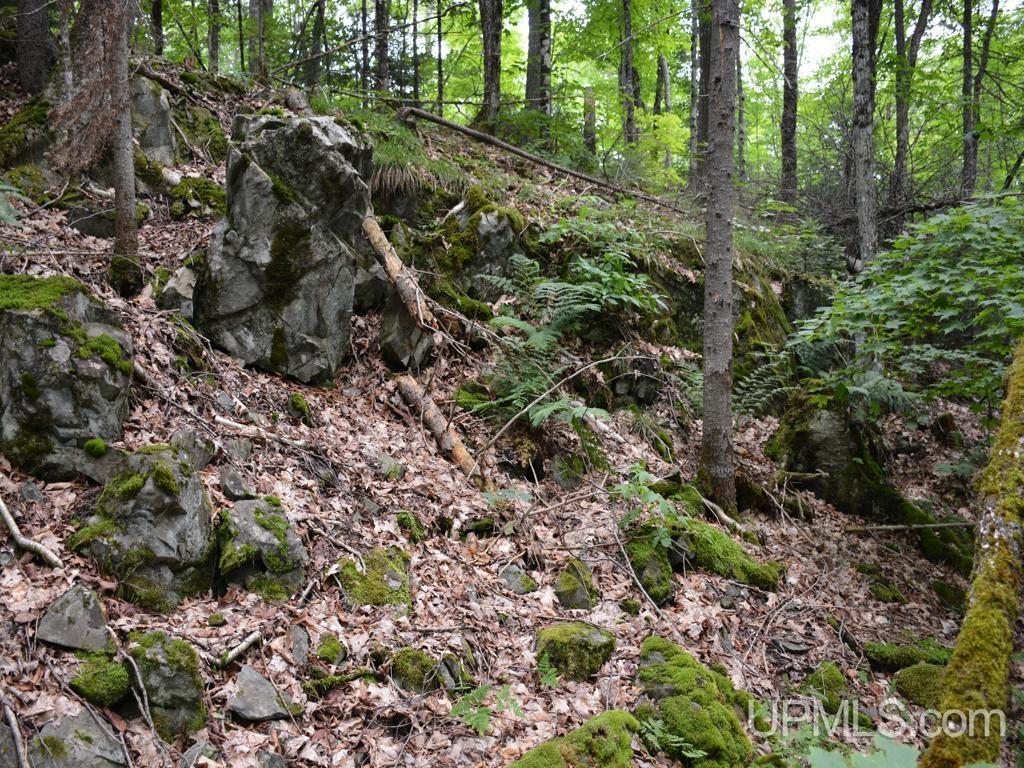 00 Gold Mine Lake Road Property Photo 15