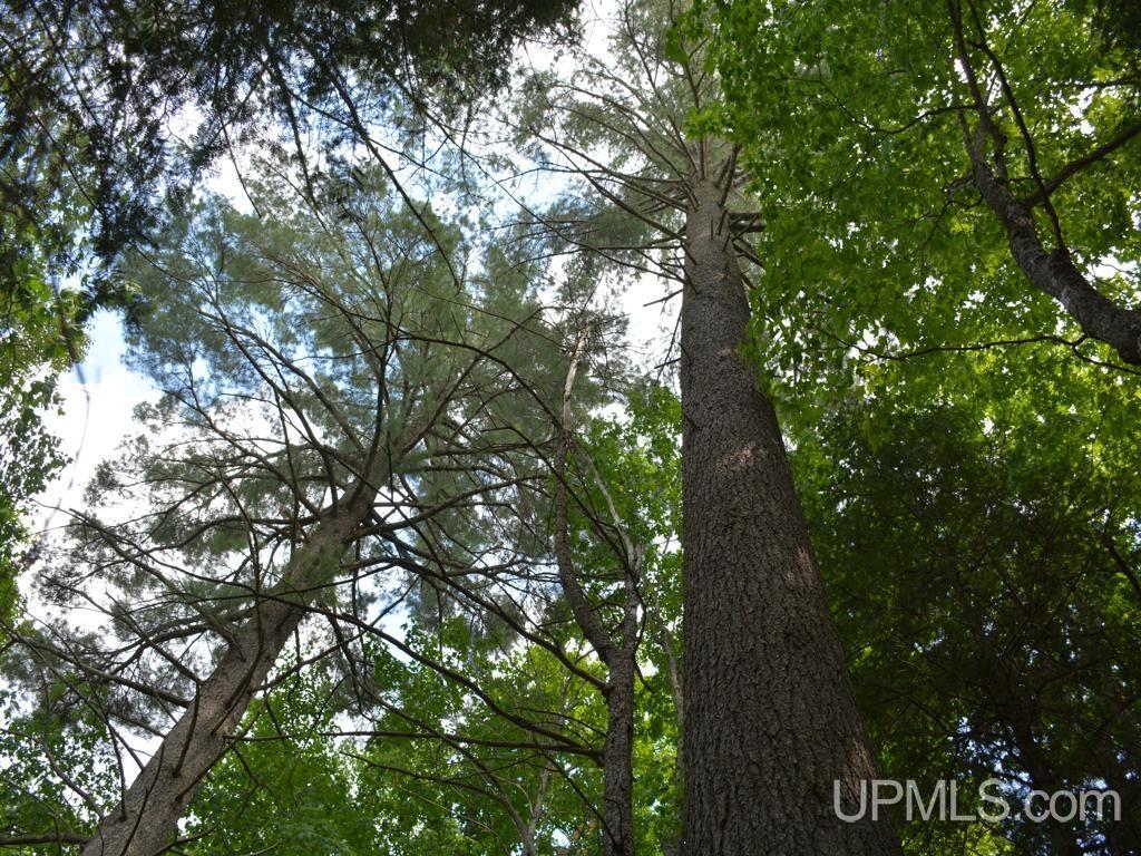 00 Gold Mine Lake Road Property Photo 17
