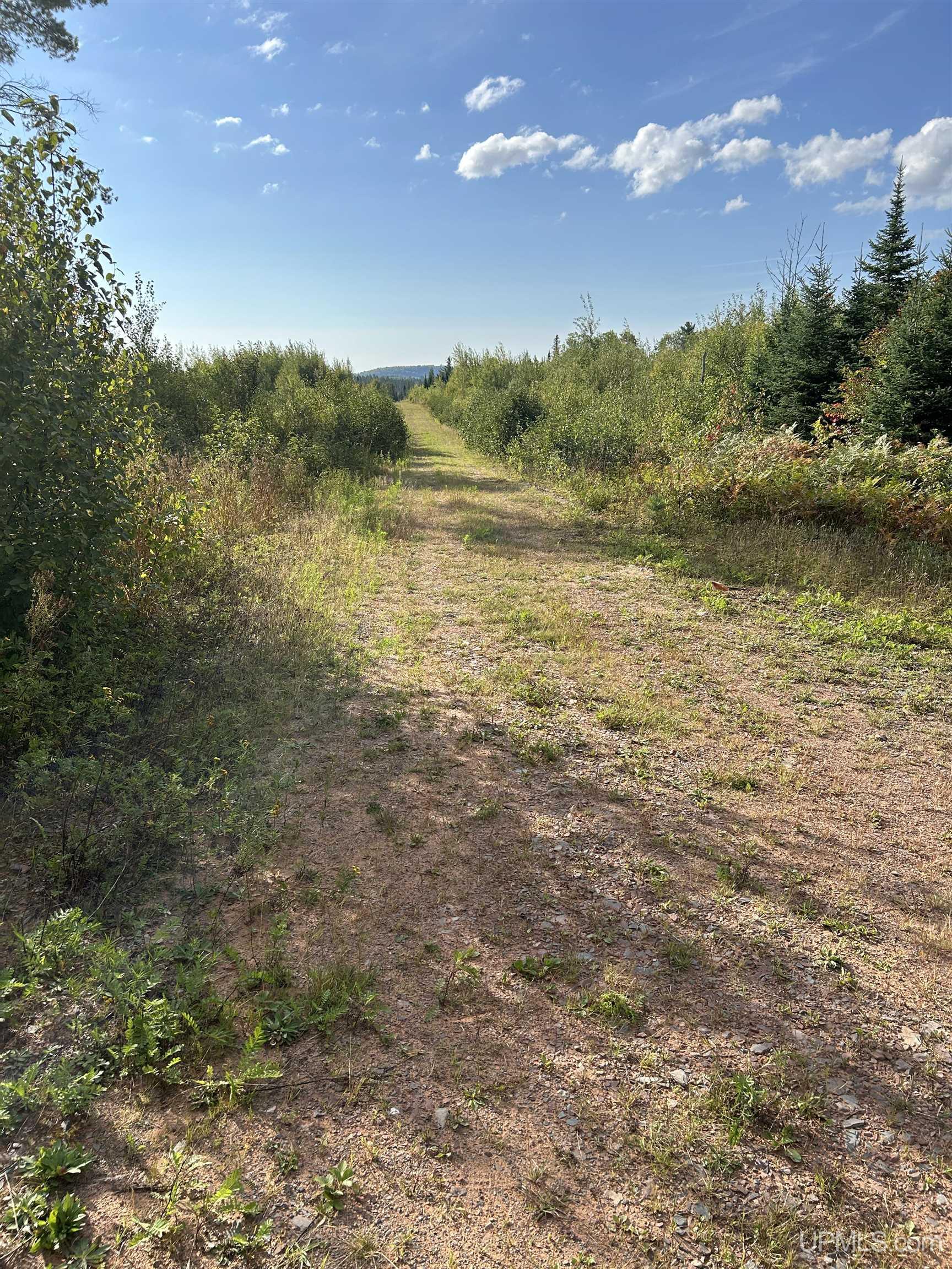 200 Acres Cr 573 Road Property Photo 1