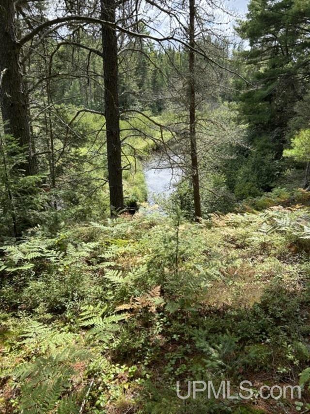 170 Acres Off Cr 573 Road Property Photo 1