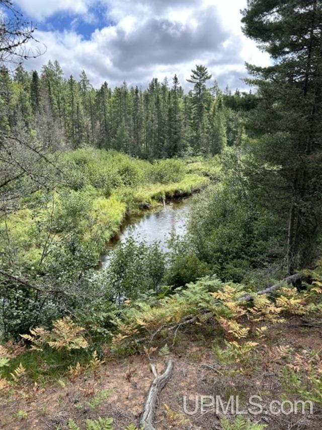 170 Acres Off Cr 573 Road Property Photo 4