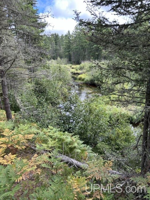 170 Acres Off Cr 573 Road Property Photo 6