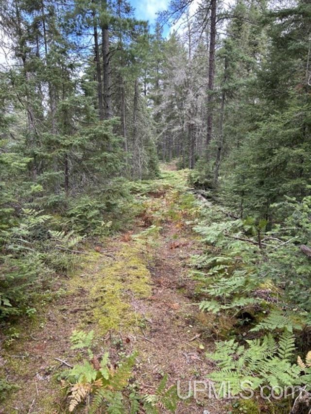 170 Acres Off Cr 573 Road Property Photo 7
