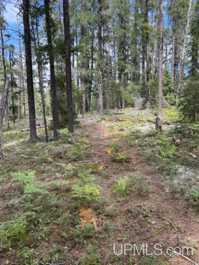 170 Acres Off Cr 573 Road Property Photo 9
