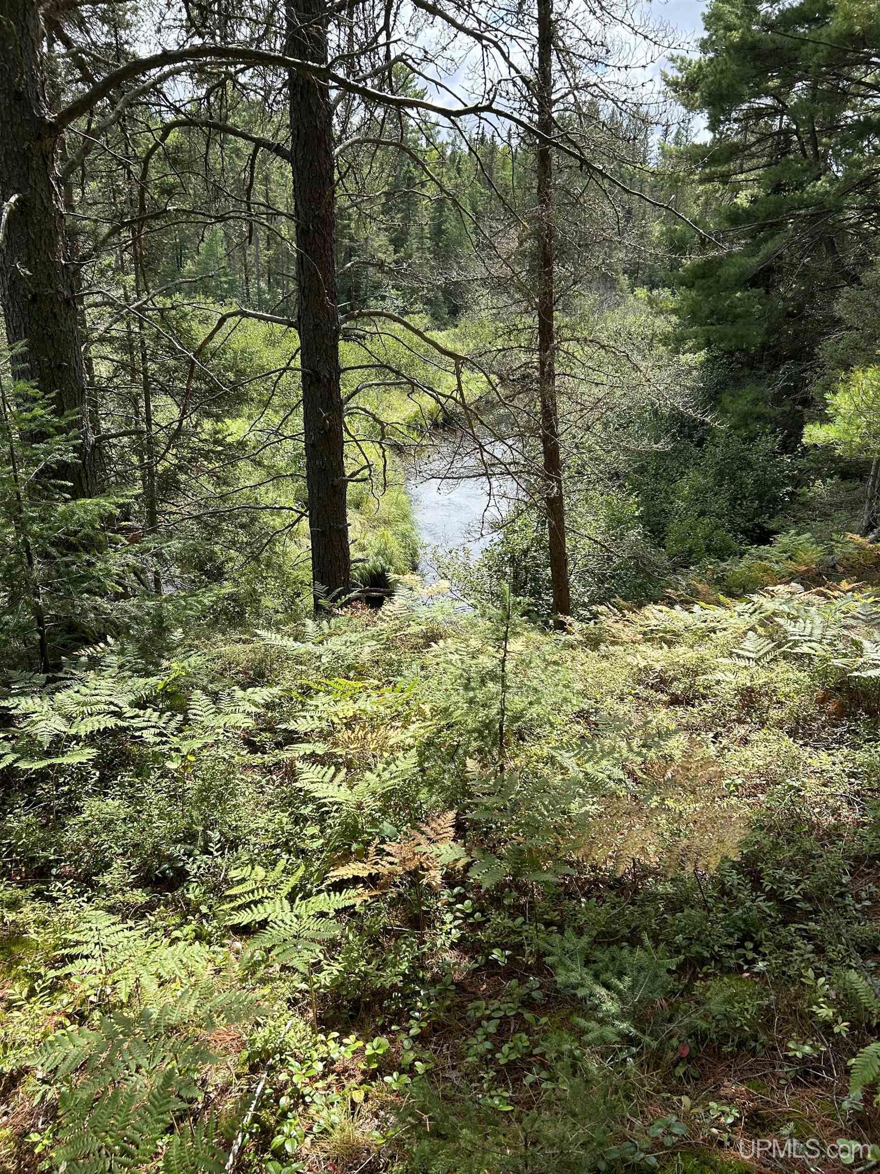 170 Acres Off Cr 573 Road Property Photo 10