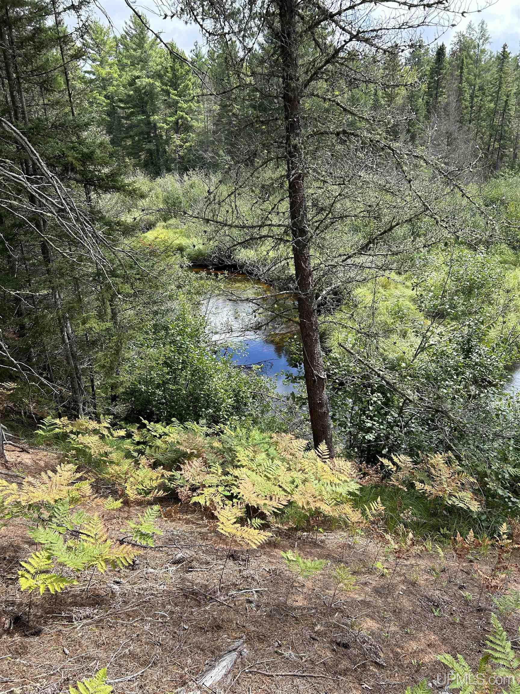 170 Acres Off Cr 573 Road Property Photo 11