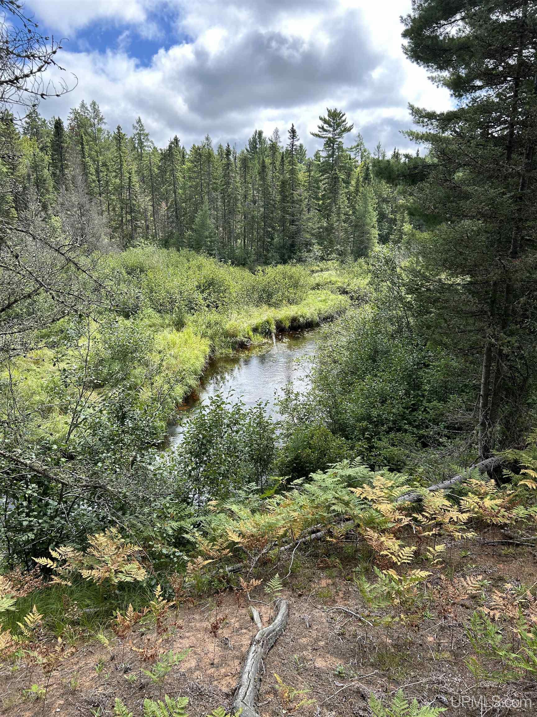 170 Acres Off Cr 573 Road Property Photo 12