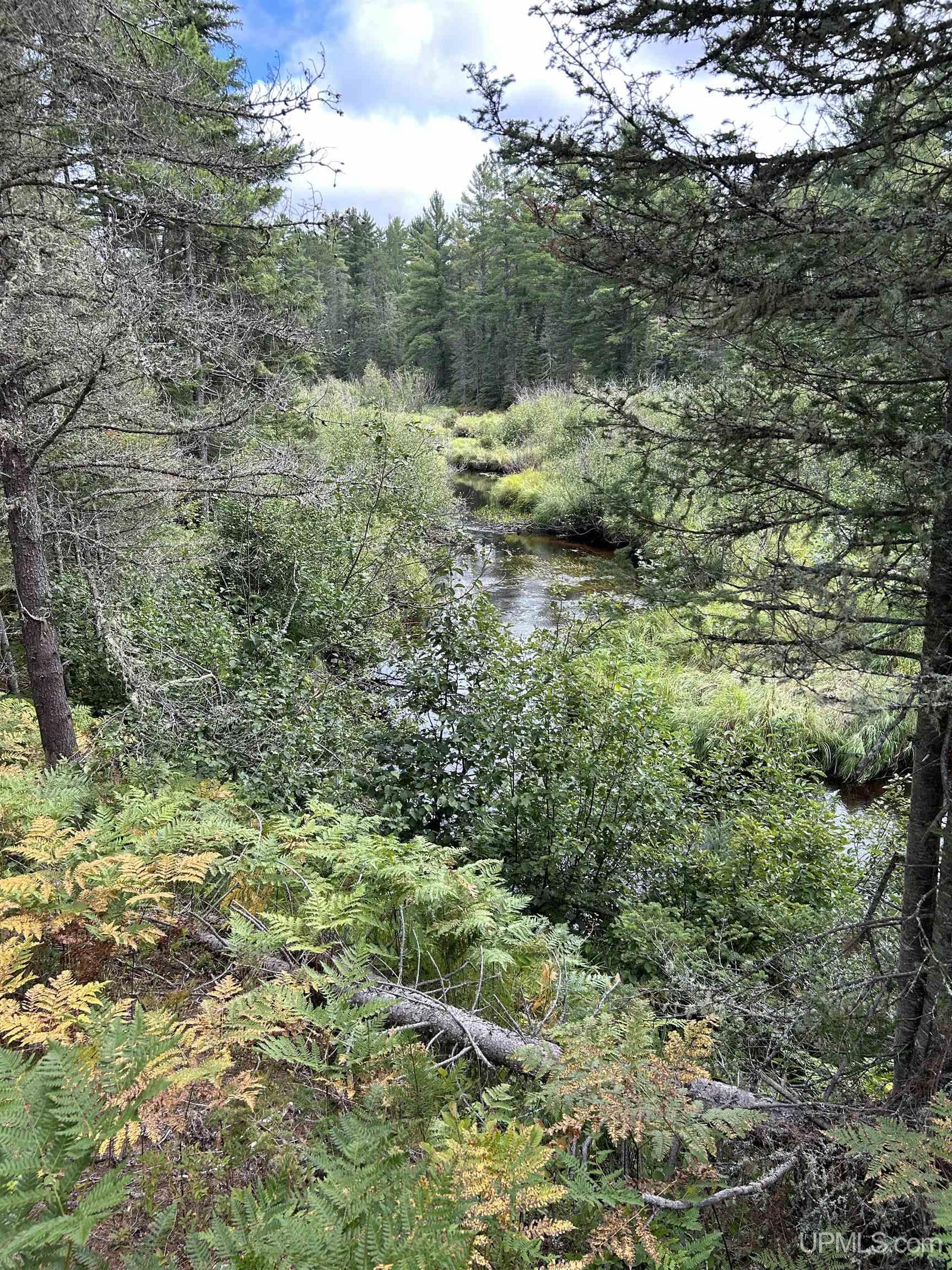 170 Acres Off Cr 573 Road Property Photo 14