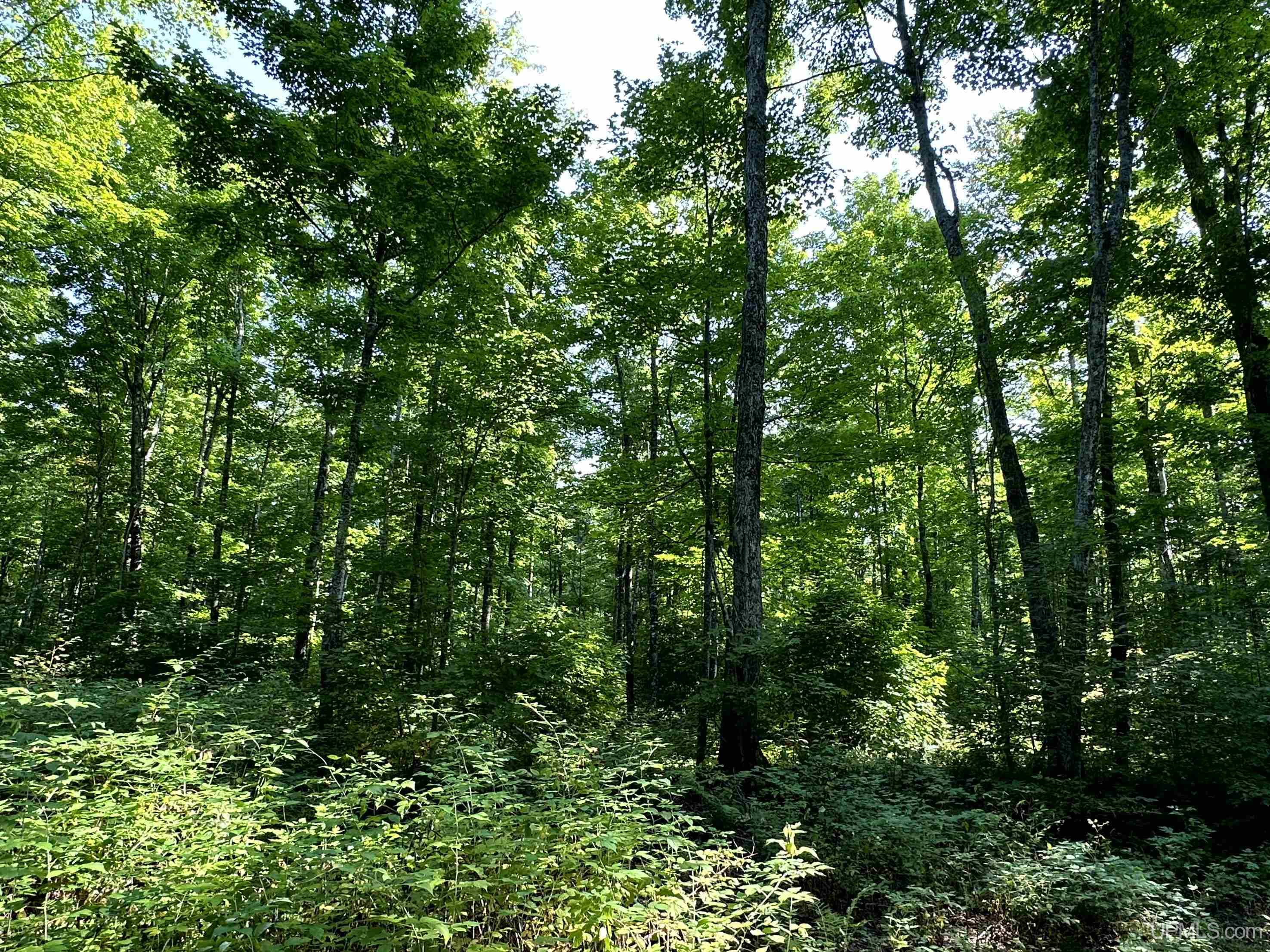 0000 H-58 Highway Property Photo 12