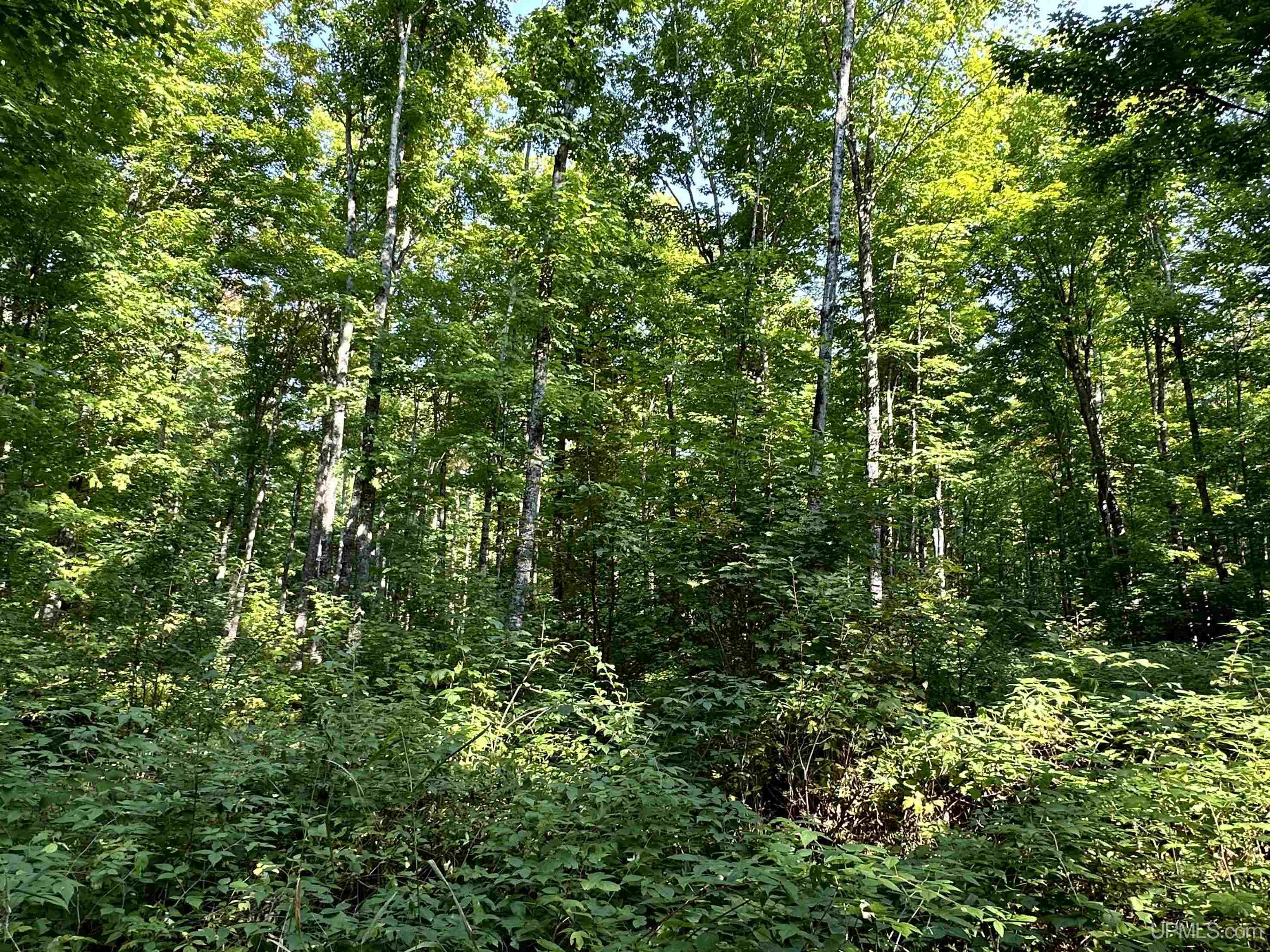 0000 H-58 Highway Property Photo 13