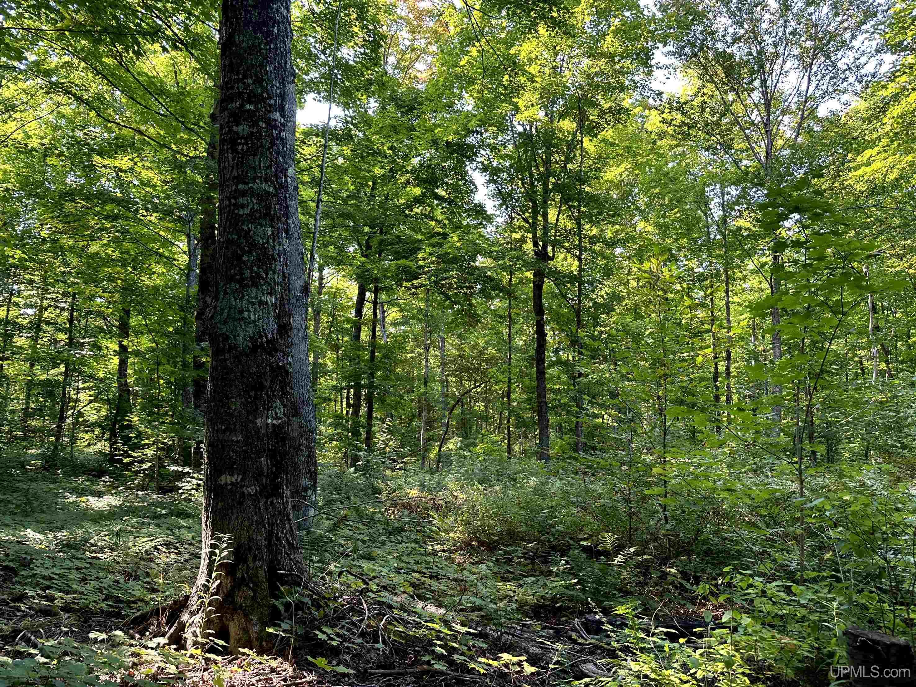0000 H-58 Highway Property Photo 15