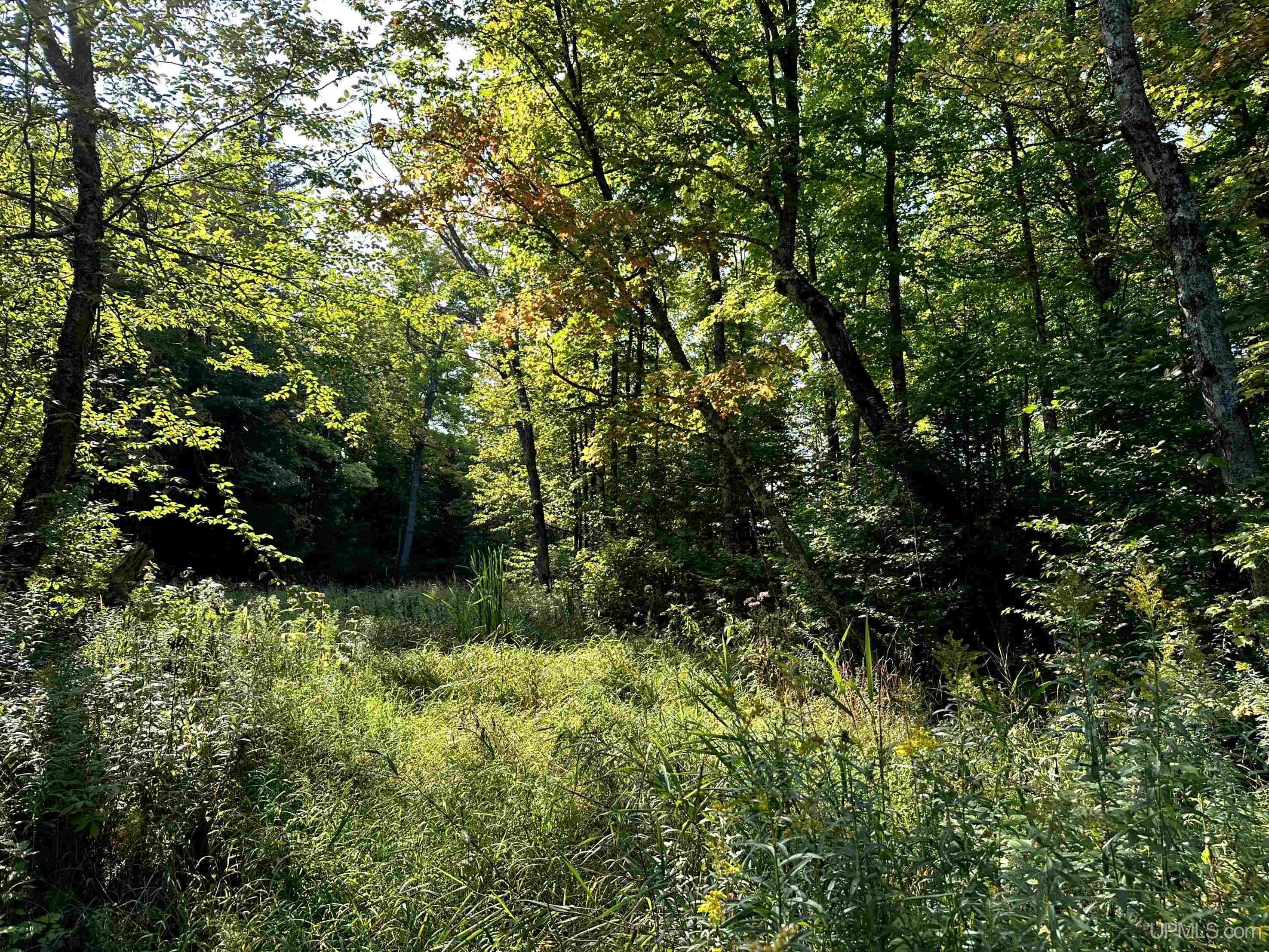 0000 H-58 Highway Property Photo 19