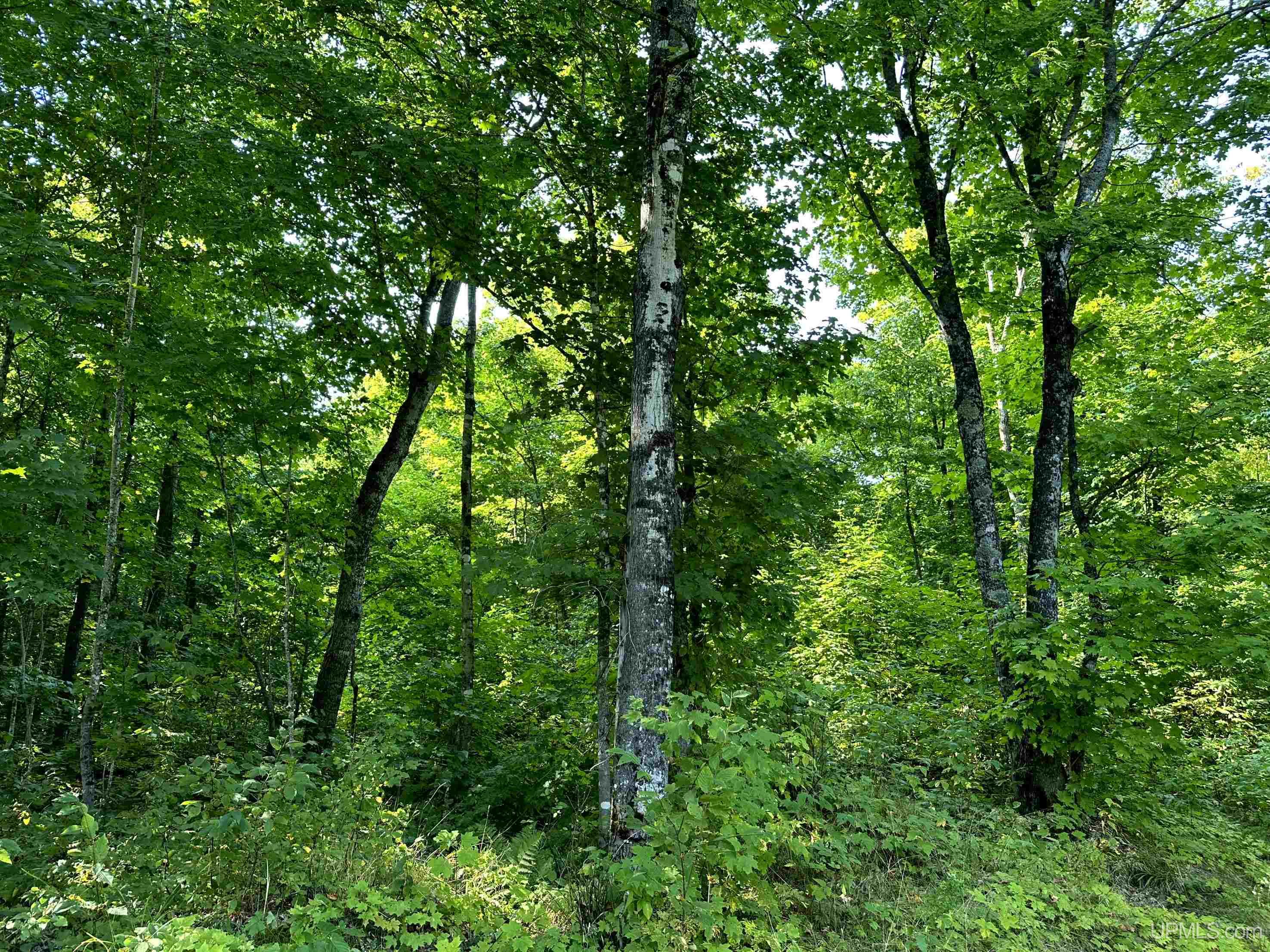 0000 H-58 Highway Property Photo 21